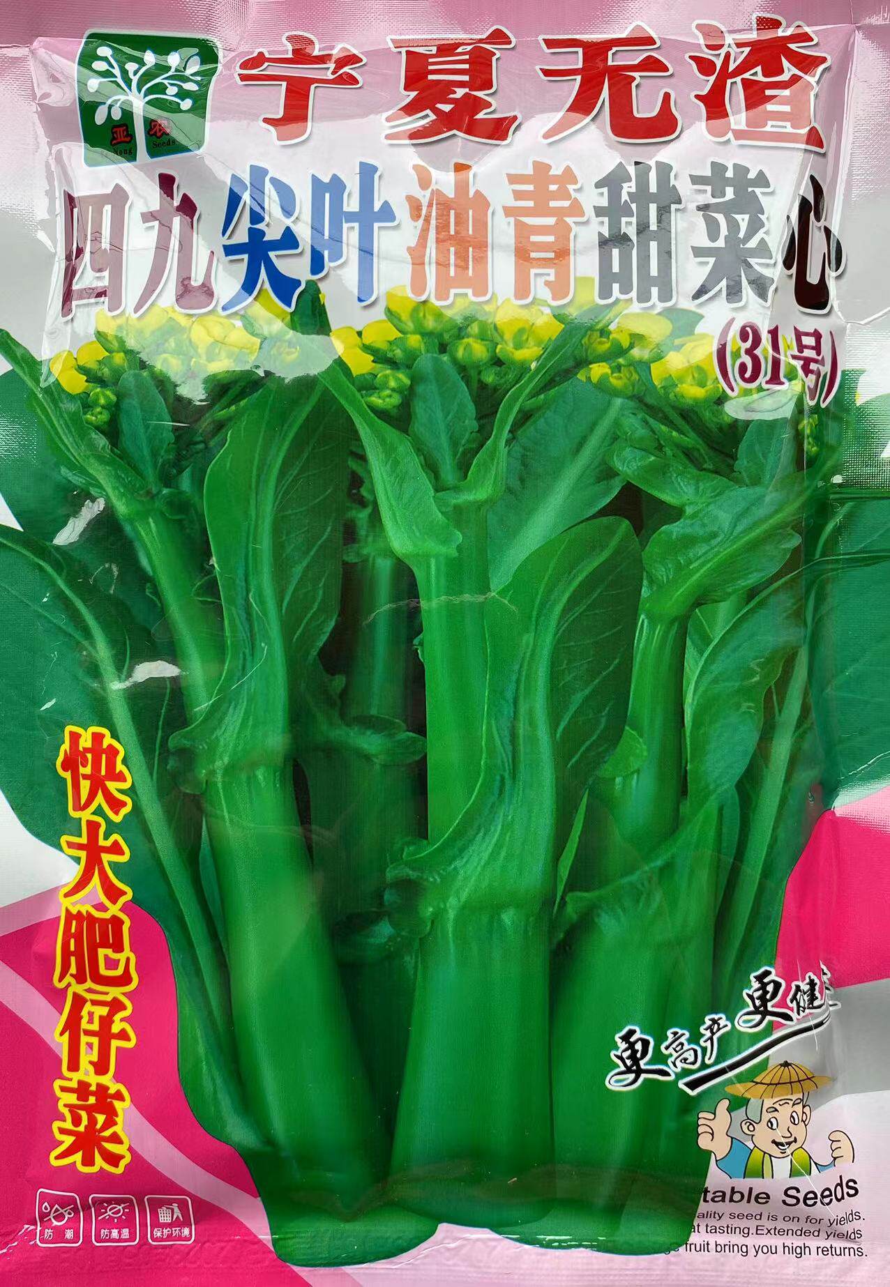四九甜菜芯种子广东31号菜心种籽春季夏季播种早菜心无渣