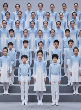 儿童初中生小学生蓝色爱国主题诗歌合唱朗诵演讲比赛演出服礼服
