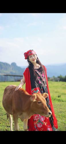 民族风手工老绣拼接老花布连衣裙