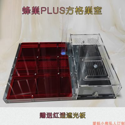 猛蚁专用混凝土石膏亚克力大型方格巢室平面蜂巢PLUS代替工坊城堡