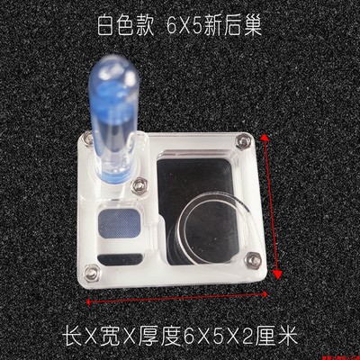 亚克力小平面巢新后小群落蚂蚁巢