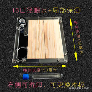 白蚁新后巢夹板巢食木白蚁巢包含保湿和水塔爱蚂小熊