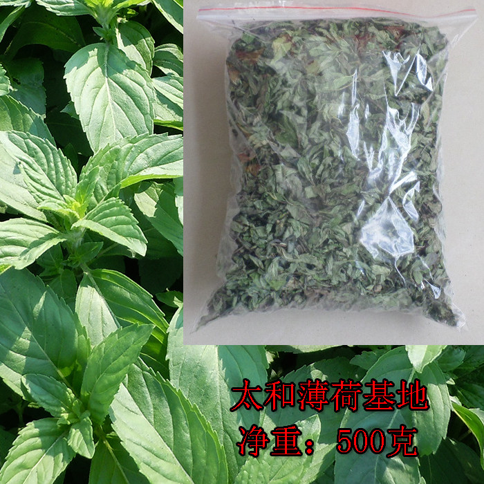 2026年新薄荷叶茶500g清凉茶原料纯绿清香 安徽太和薄荷基地直供