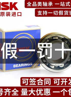 日本NSK进口6204开式无密封 CM C3E尺寸20*47*14mm高速深沟球轴承