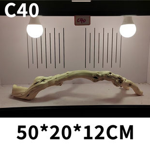 50-55选款爬宠天然木头造景豹纹守宫鬃狮蜥蜴角树蛙攀爬龙纹枯木