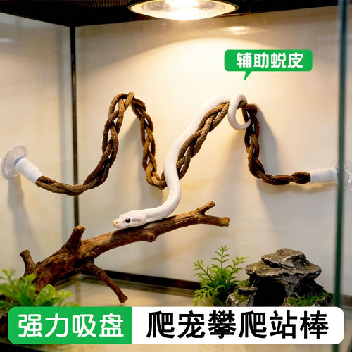 爬宠虫仿真树藤寄居蟹蛇巨人睫角守宫鬃狮蜥蜴爬藤攀爬架藤蔓树枝