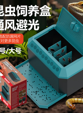 鬃狮蜥蜴守宫昆虫面包虫蟋蟀杜比亚蟑螂活体饲料防逃养饲养盒箱