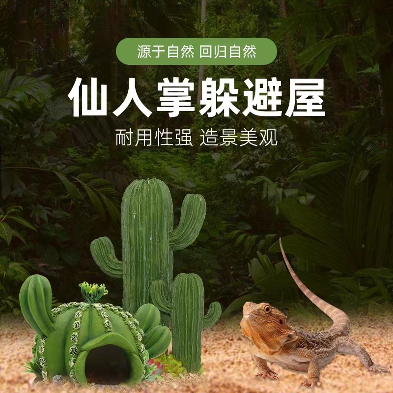 爬宠守宫鬃狮蜥蜴仙人球躲避屋植物造景装饰树脂寄居蟹雨林缸洞穴,宠物/宠物食品及用品,爬宠躲避/造景,淘宝优惠券,粉丝福利购,淘宝优惠卷