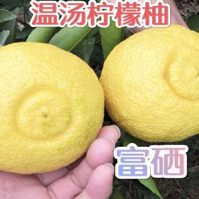 温汤富硒柠檬柚黄金贡柚春香柚甜小柚子宜春明月山特产含硒橘20斤