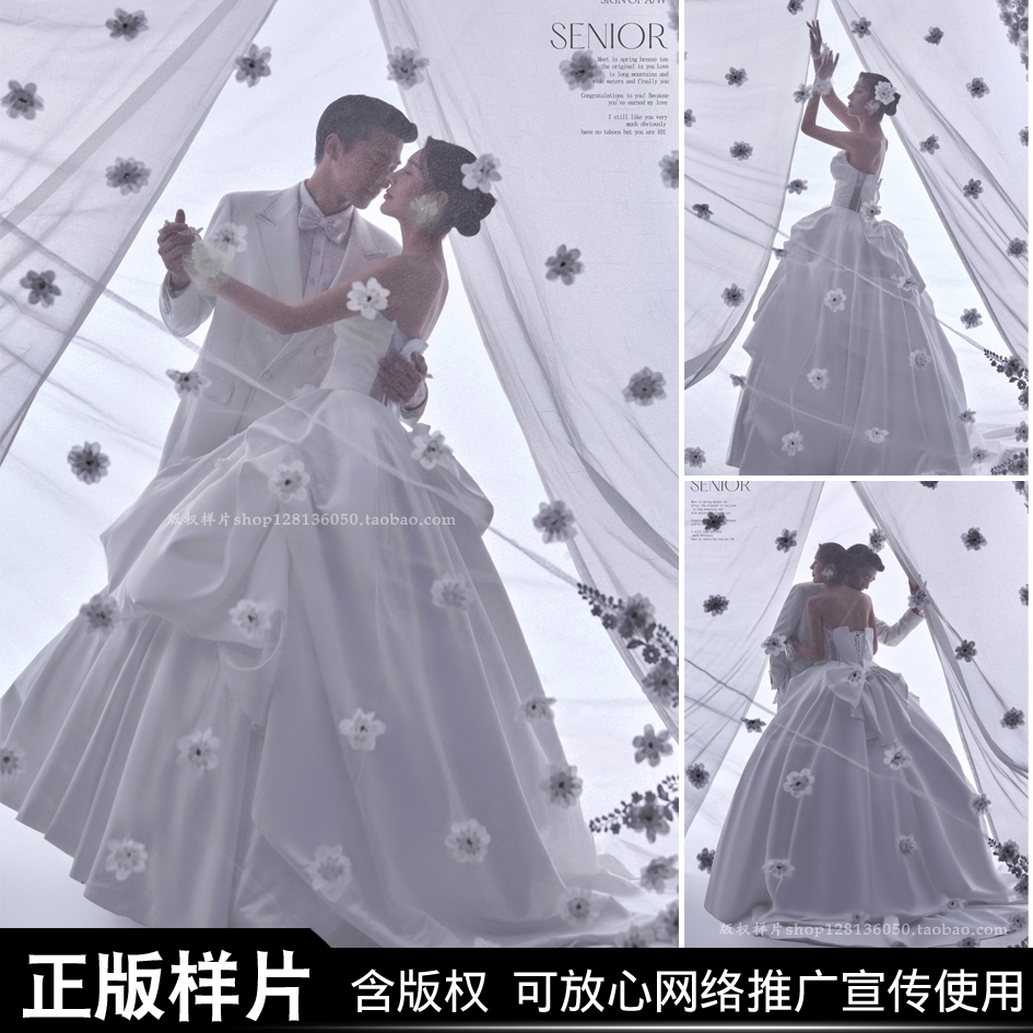 2025年影楼婚纱照新款样片展会版权薇拉小清新单色白纱韩式客样照