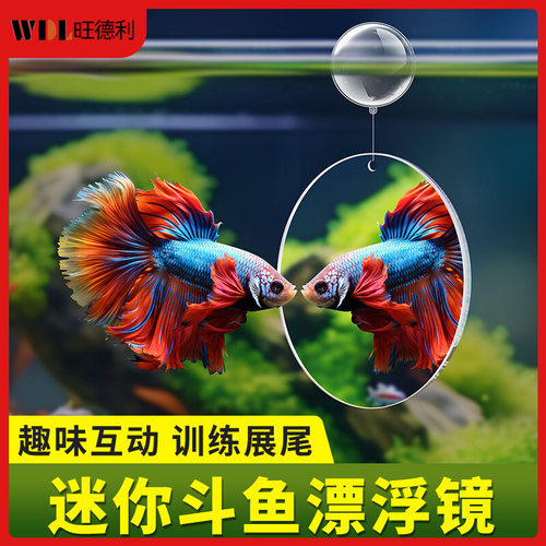 泰国斗鱼互动训练镜双面悬浮球