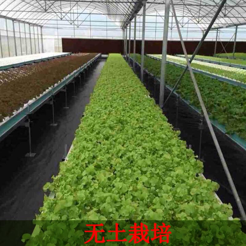 工程无土栽培水培梯管式家庭餐厅室内种菜神器大型智能设备果蔬菜|msdalam kategori penghantaran bunga/bunga simulasi/tumbuhan berkebun, pasu/bunga/flowerpot/Bunga (baru), bunga - dari Buy2taobao.com untuk memberikan perkhidmatan ejen Taobao profesional membeli