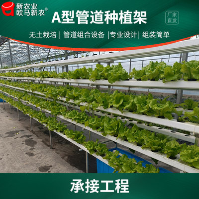 无土栽培设备植物工厂展示楼顶