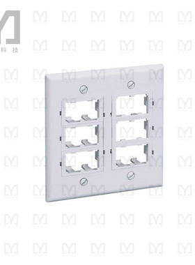 CFPF12EI-2G【FACEPLATE  12 PORT  DOUBLE GANG 】