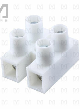 HE4WPR/02【EUROSTRIP 2P10MM FLT 30A 300V 24】