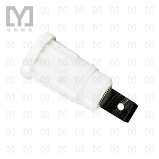 BANANA CONN WHITE JACK CT2911