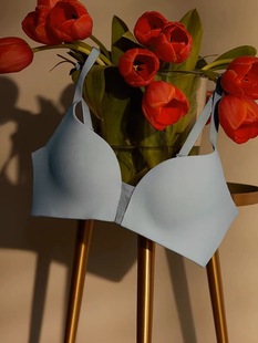 A14戴家无痕隐形舒适裸感一片式文胸光面无钢圈内衣女超薄款胸罩