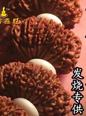多瓣姜黄皮大金刚菩提子包邮
