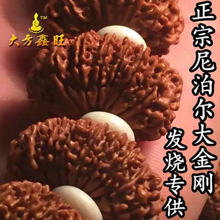 尼泊尔八8九9十一10十二1112131415瓣多瓣大金刚菩提子姜黄皮包邮