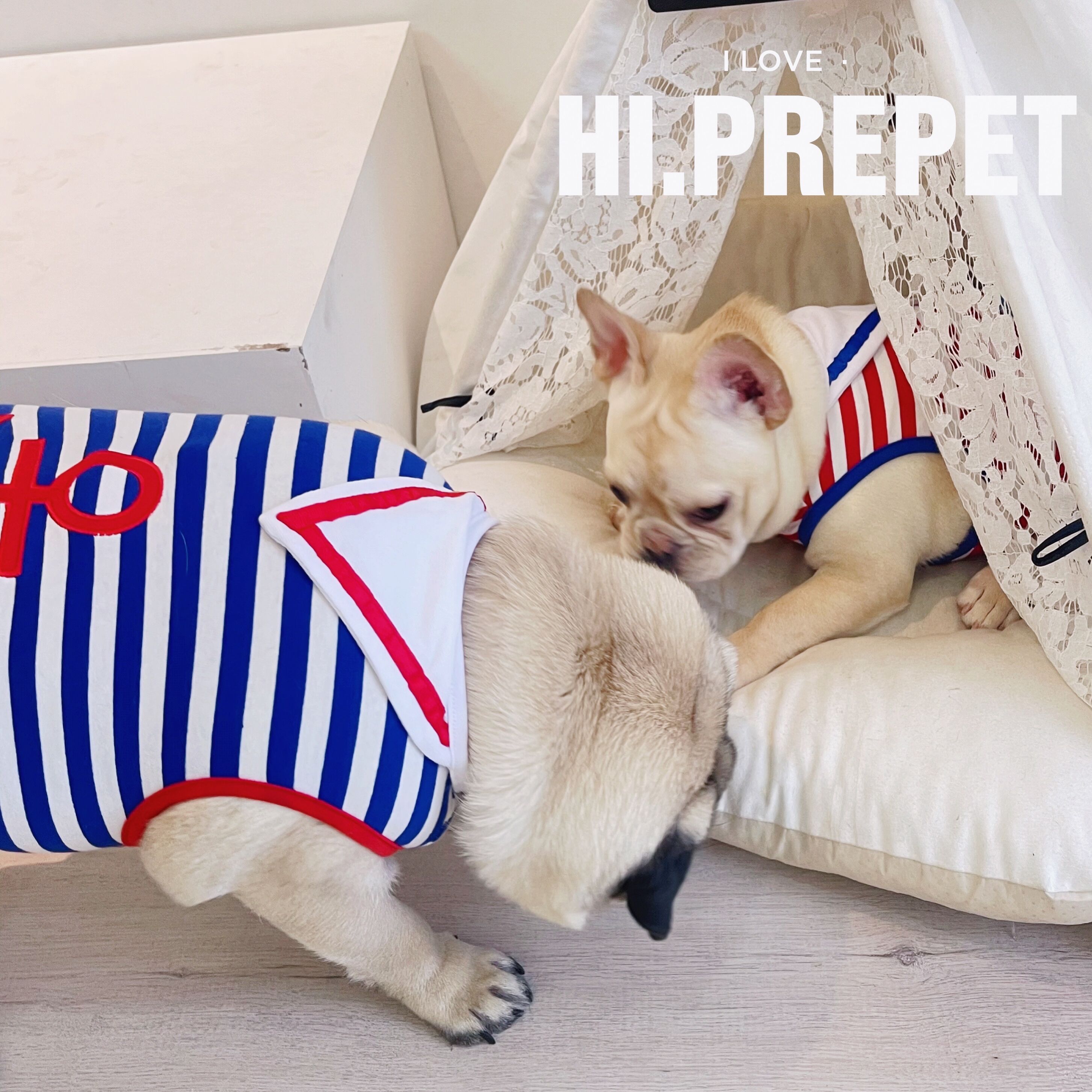 海军风条纹水手背心送领巾~法斗巴哥犬胖狗衣服春夏宠物服装