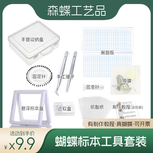 蝴蝶标本手工diy制作材料昆虫针展翅板昆虫标本盒子工具套装全套
