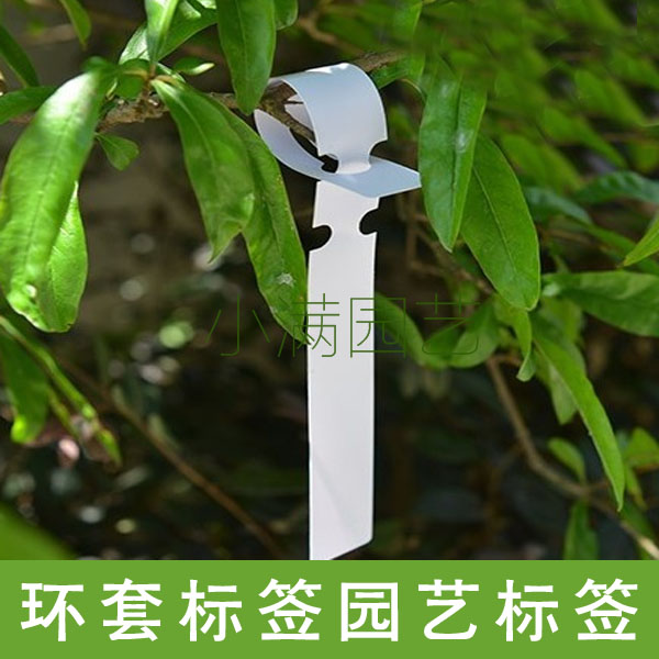 兰花花卉国兰标签园艺环套标签 标签环 防水苗兰花植物花卉标识牌
