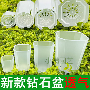 新款钻石盆侧开孔万象盆透明蝴蝶兰多肉玉露八角绿植盆栽花盆透气