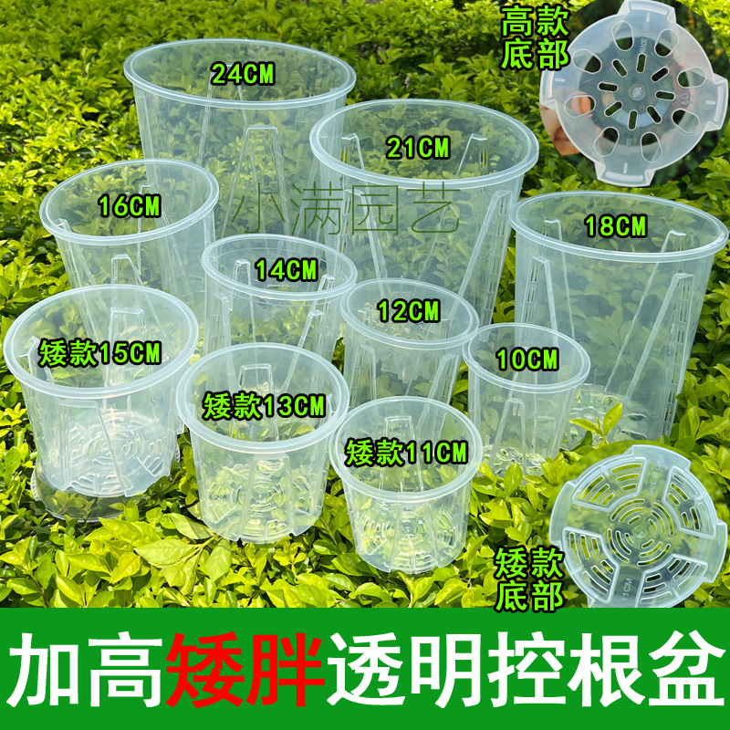 加高透明控根盆蝴蝶兰专用铁皮