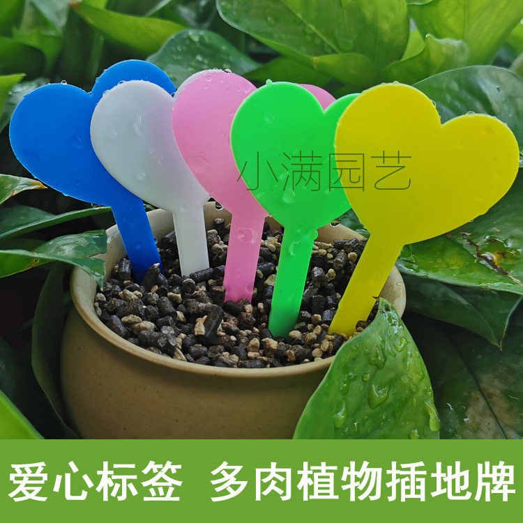 塑料园艺心型花卉葡萄标签标牌多肉植物兰花西瓜防水标记牌记号卡