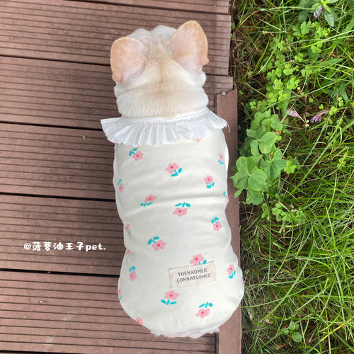 宠物春夏季棉背心 可爱卡通弹力花边防掉毛狗狗衣服 法斗柯基胖