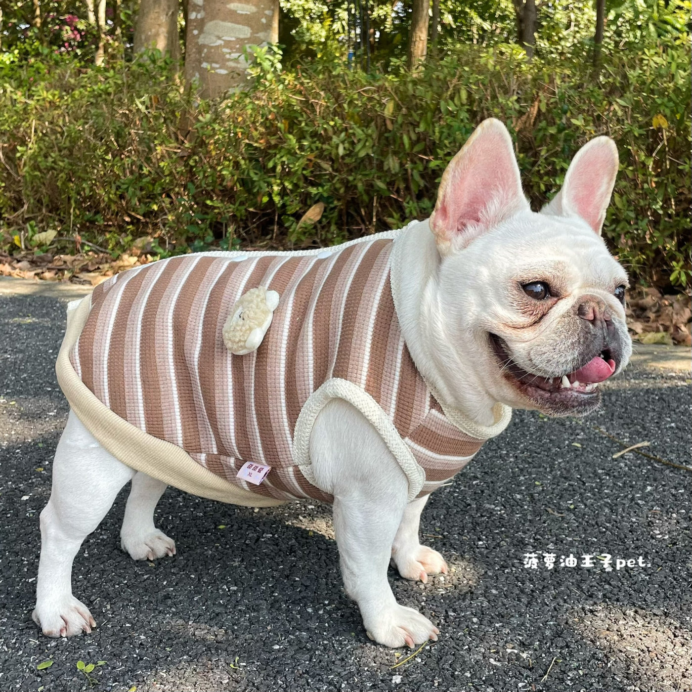 新款宠物衣服 秋冬装保暖 加厚加绒针织马甲背心 法斗雪纳瑞胖狗,宠物/宠物食品及用品,狗宠物服装/雨衣,淘宝优惠券,粉丝福利购,淘宝优惠卷