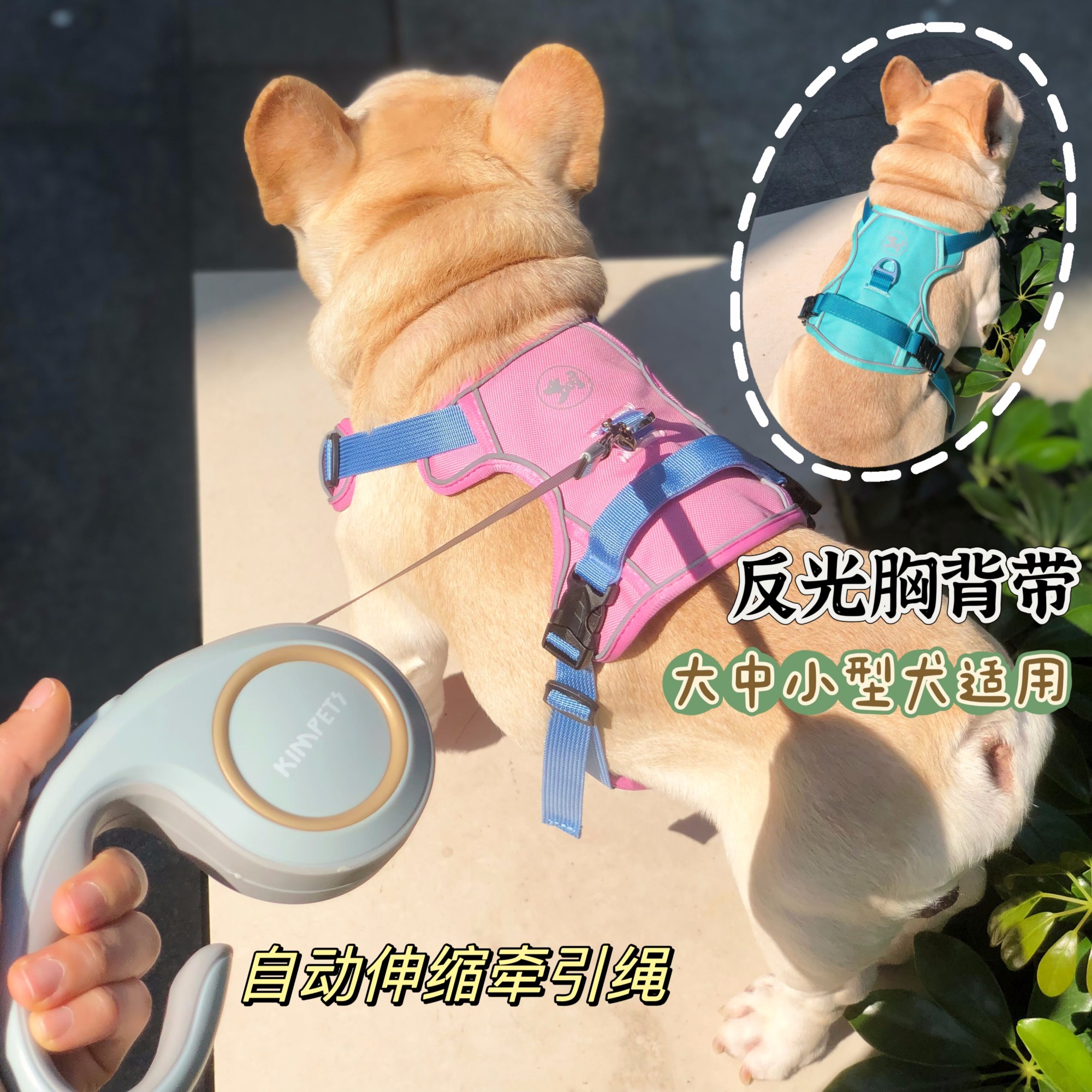 狗狗胸背带牵引绳宠物透气反光防水背心式胸背中大型犬法斗柯基