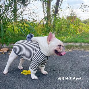 新款宠物衣服 狗狗秋冬保暖抓绒针织条纹毛绒帽衫 法斗连帽卫衣