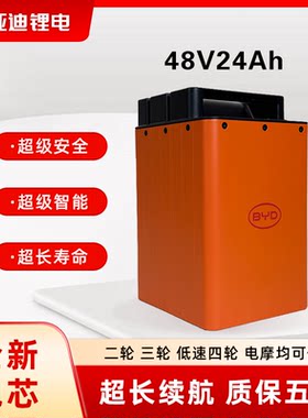 比亚迪48V24AH30AH两轮车用电池