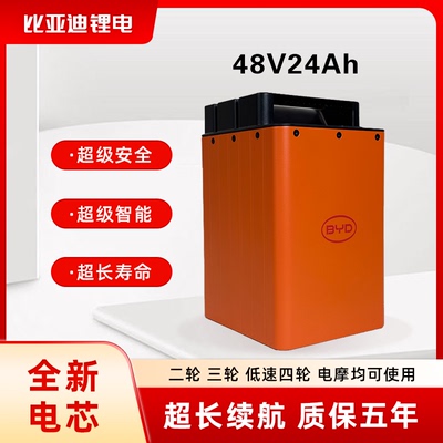 比亚迪48V24AH30AH两轮车用电池