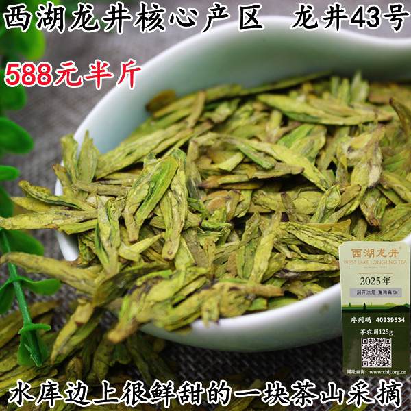 豆香兰花香西湖龙井茶农直销鲜甜