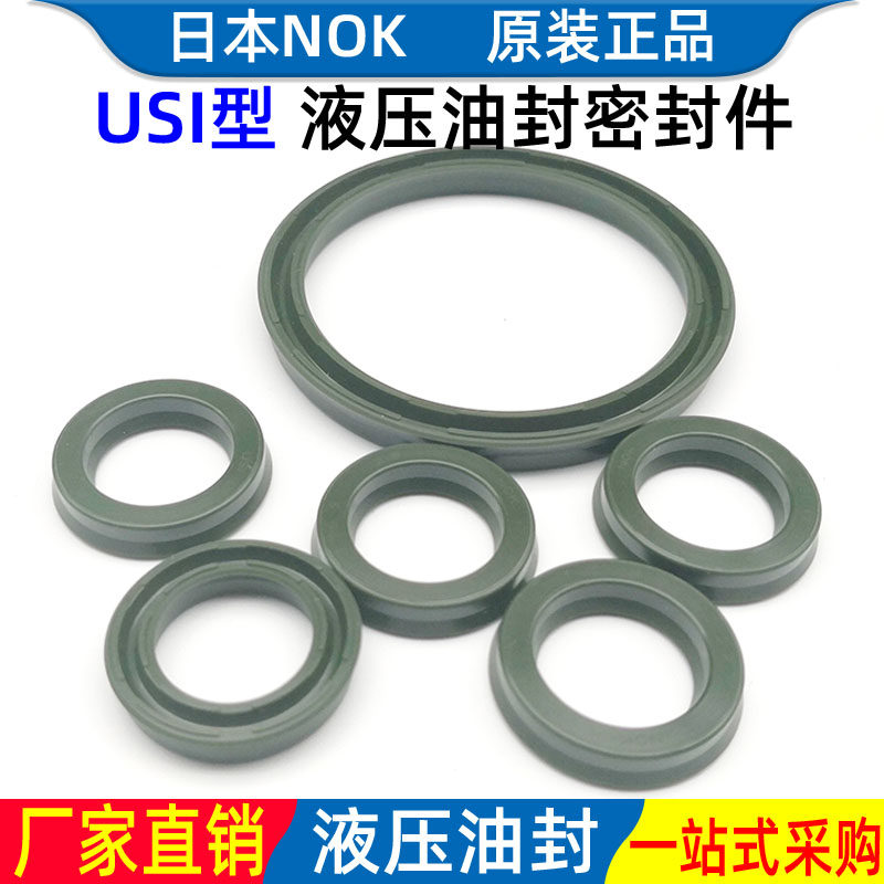 NOKUSI型进口油封密封圈液压油缸