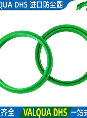 VALQUA进口尘封DHS防尘圈轴用31.5 32 35*39.5 40 43*4.5 5*6 6.5
