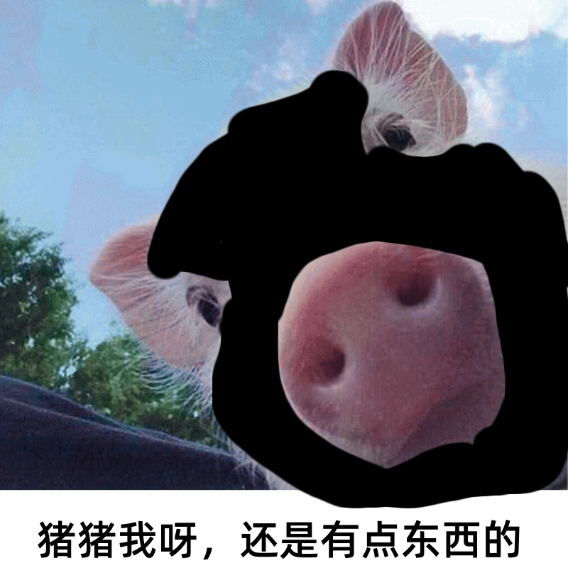 猪五花）去皮黑猪五花肉切片伊比利亚黑猪五花无抗生素瘦肉精残留