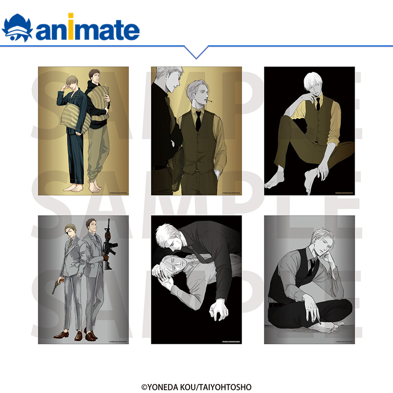 【现货】鸣鸟不飞 集换式特别插画卡片盒蛋 Day/Night animate