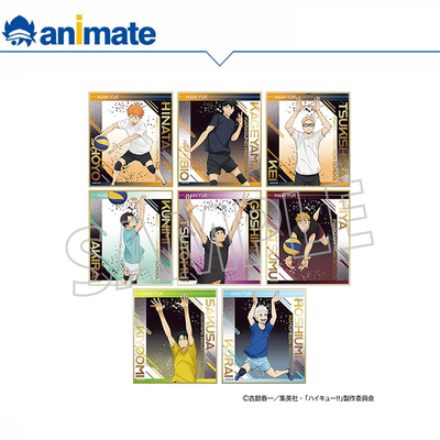 【现货】排球少年 迷你色纸盒蛋 国青合宿 animate正版授权