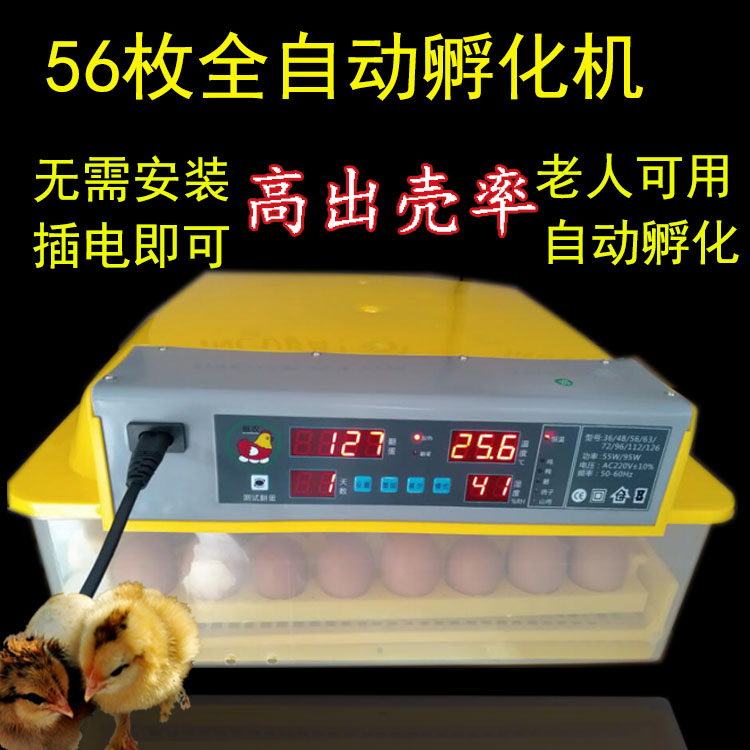 孵化机孵蛋器鸭鹅孵化箱抱鸭蛋