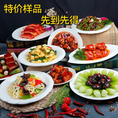 美食道具美之灵仿真菜模永久展示