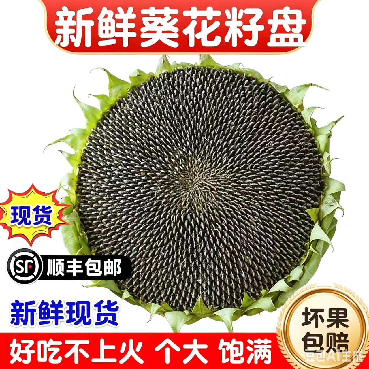 26年新鲜向日葵盘带籽生向日葵带盘原味湿葵瓜子葵花头毛嗑发顺丰