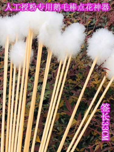 鹅毛棒授粉器授粉神器人工点粉笔花粉授粉点粉棒人工授粉工具