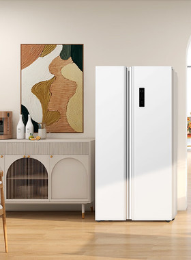 TCL R521V5-S 家用节能风冷无霜对开冰箱双变频二级能效