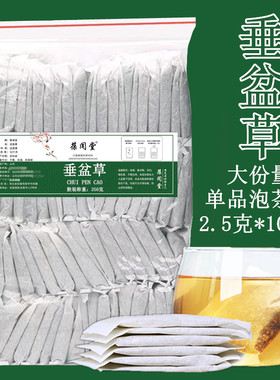 垂盆草100包/袋大份量当季新货