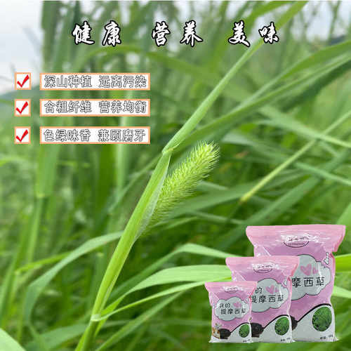 归乡提提摩西草半烘干特优提草
