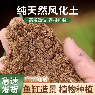 德沃多风化土盆景专用天然砂沙土颗粒扦插生根铺面石田园营养土