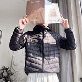 Y136-P128-聚酯纤维50绒（50-100）排骨格连帽羽绒棉服，男装棉衣，电商A216